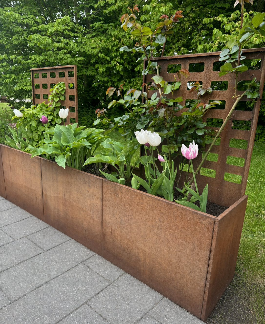 Espalier til 40cm højbed